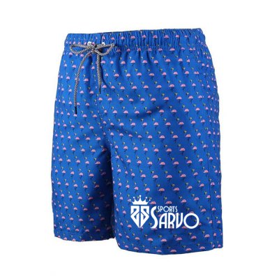 Board Shorts